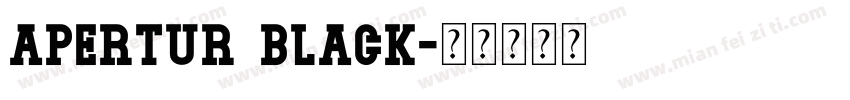Apertur Black字体转换